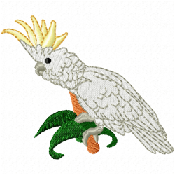 Parrots Embroidery Design 3 Parrots Embroidery Design 3